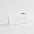 Icare Classic Pillow