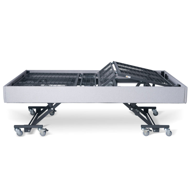 Royale Multi-Motion Bed