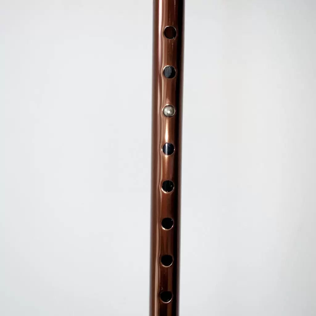 Walking Stick TKCR 102