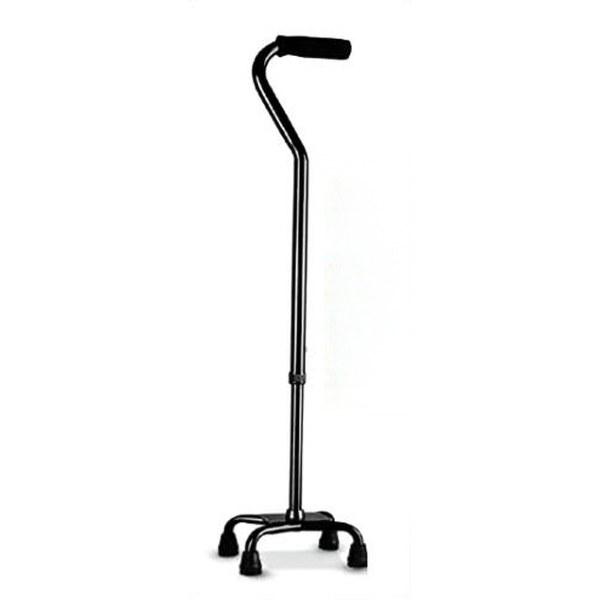 Walking Stick TKCR 103