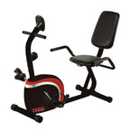 York Performance Recumbent Bike